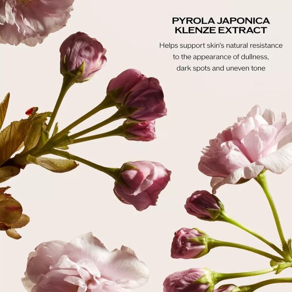 Shiseido White Lucent Overnight Cream & Mask 75ml NIB - Picture 6 of 9